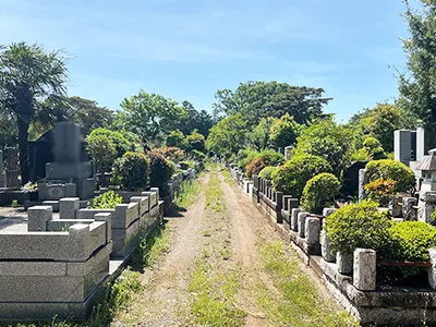 多磨霊園