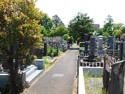 谷中霊園