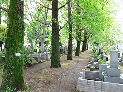雑司ヶ谷霊園