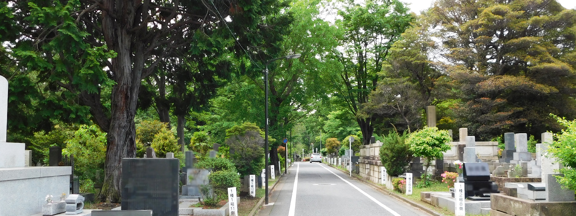 雑司ヶ谷霊園