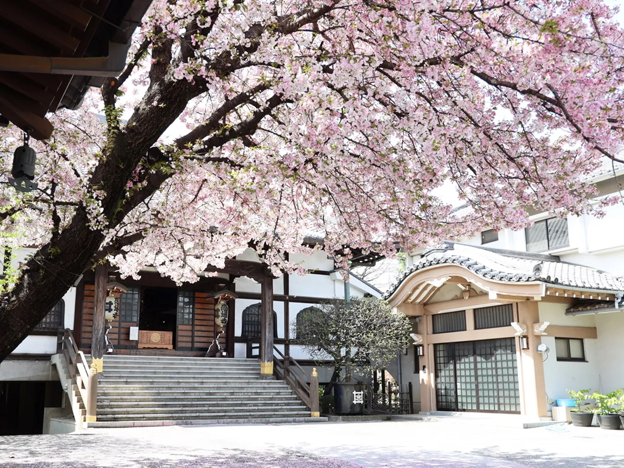 感通寺004