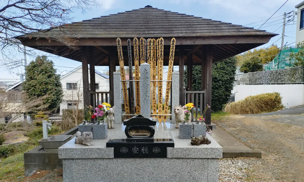 妙蓮寺004
