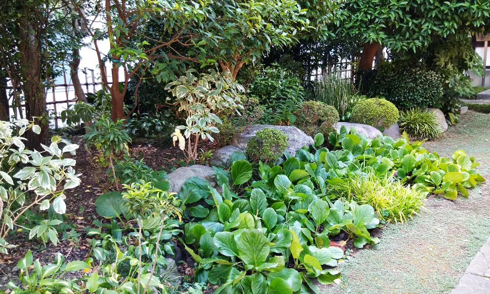 蓮乗院005