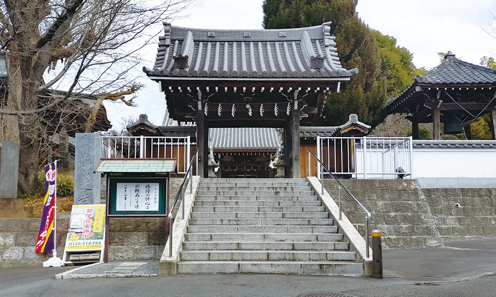 妙蓮寺