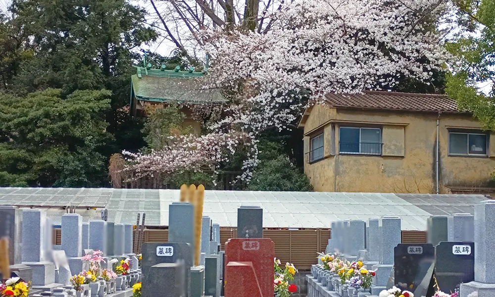 道灌山霊園005