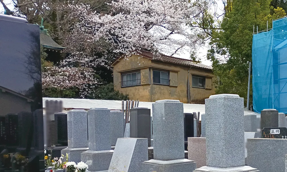 道灌山霊園006