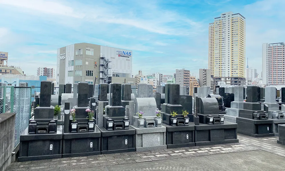 見晴らしが良い