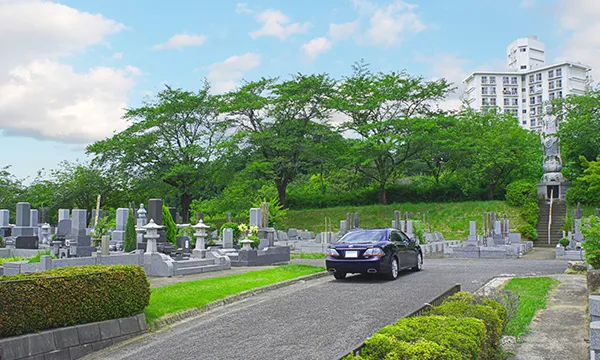 お車で移動
