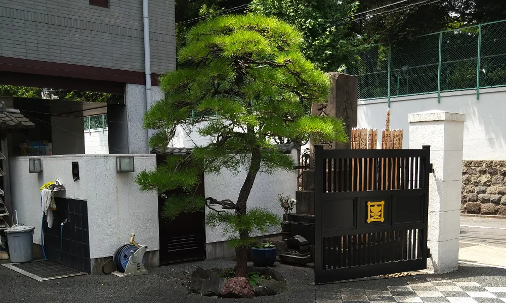 松