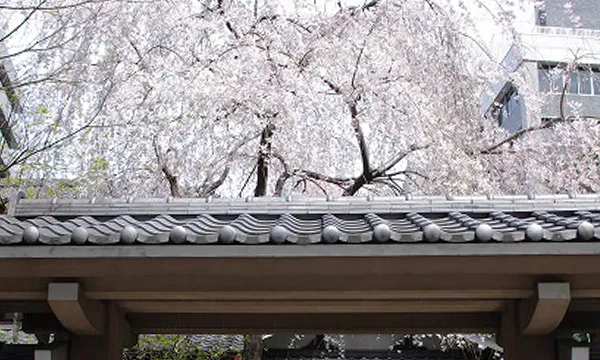 アクセス便利な好立地