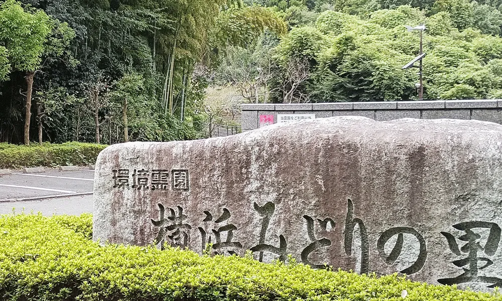 開放感のある美しい園内