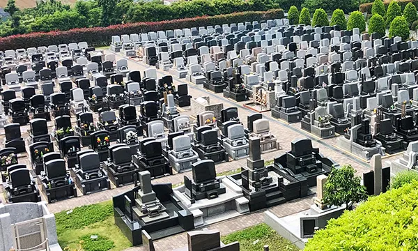 豊かな緑に囲まれた環境