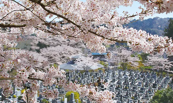 霊園