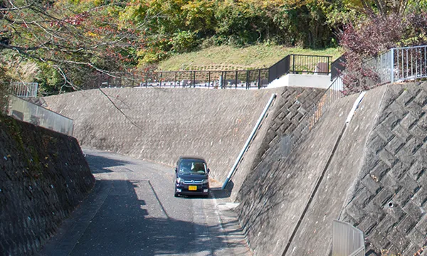 車で楽々