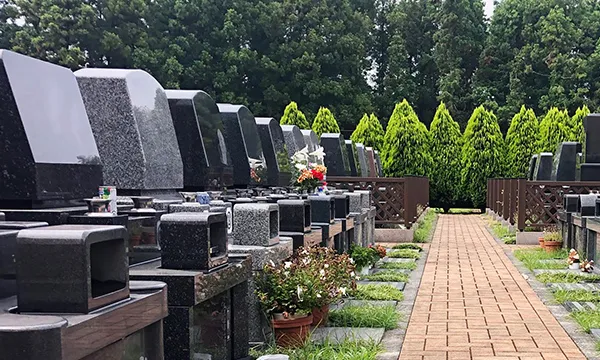 全景