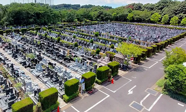 車で楽々