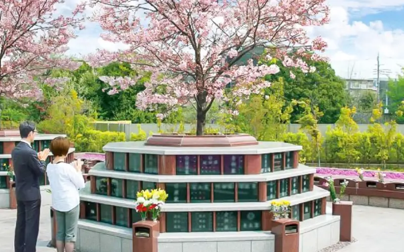 桜の咲く霊園を訪れる家族