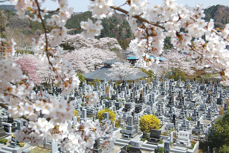 多摩聖地の桜_re